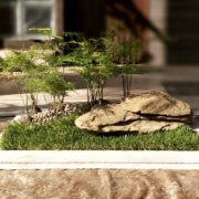 buy-online-Bonsai-plants-Mame-Kusamono-live-arts-creosora-58