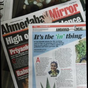 Times Of India , Ahmedabad Mirror