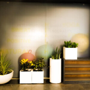 Vyom Fitness studio indoor plants and Balcony Garden