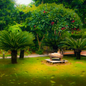 Garden Redo Area at Santosha Park Ahmedabad