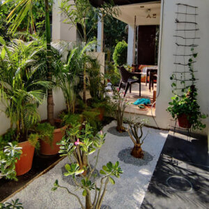 Garden Redo at Amanvilla , Ahmedabad