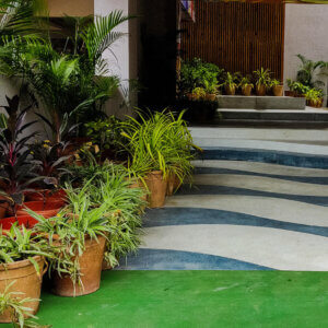 Pot Garden for Shivashish School Ahmedabad