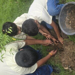 Zydus School Gardening Club