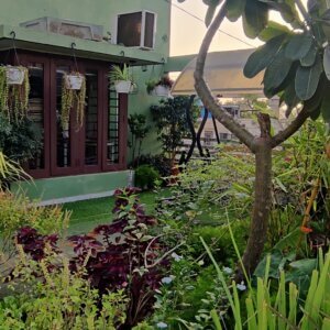 Terrace Garden at Jivraj Park